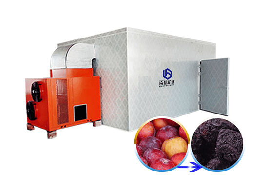 Fruit Drying Machine - Baixin