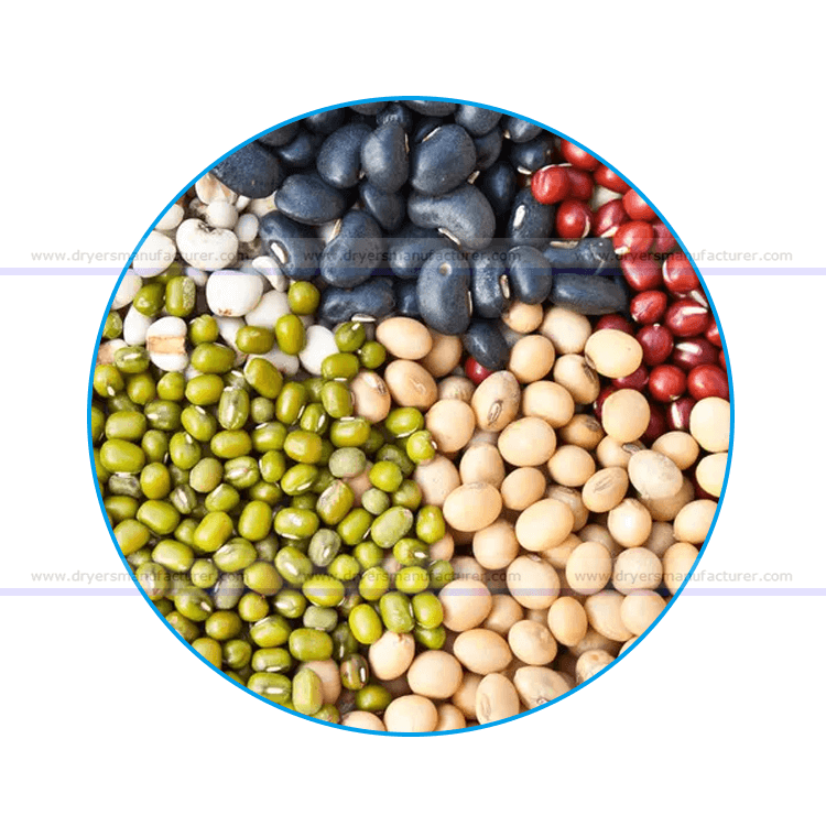 bean dryer bean drying machine,bean dehydrator,bean dehydrating machine